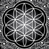 FLOWER OF LIFE