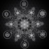 Flower of Life ( )